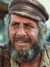 Topol fotoğrafı